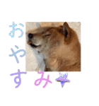 大好き♡クリちゃん（個別スタンプ：6）