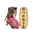 大好き♡クリちゃん（個別スタンプ：9）