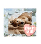 大好き♡クリちゃん（個別スタンプ：10）