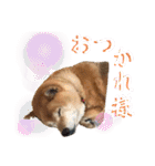 大好き♡クリちゃん（個別スタンプ：13）