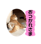 大好き♡クリちゃん（個別スタンプ：14）