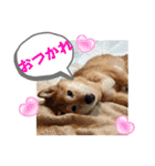 大好き♡クリちゃん（個別スタンプ：16）