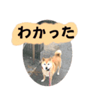 大好き♡クリちゃん（個別スタンプ：21）