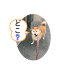 大好き♡クリちゃん（個別スタンプ：23）