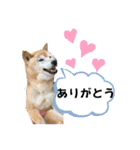 大好き♡クリちゃん（個別スタンプ：25）