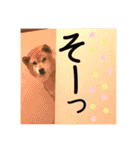 大好き♡クリちゃん（個別スタンプ：27）