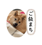 大好き♡クリちゃん（個別スタンプ：28）