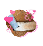 大好き♡クリちゃん（個別スタンプ：31）