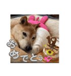 大好き♡クリちゃん（個別スタンプ：32）