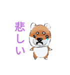 可愛い柴犬でっせ（個別スタンプ：10）