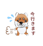 可愛い柴犬でっせ（個別スタンプ：11）