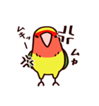 スーパーコザクラインコ（個別スタンプ：7）