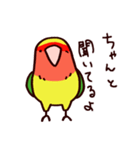 スーパーコザクラインコ（個別スタンプ：8）