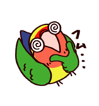 スーパーコザクラインコ（個別スタンプ：16）