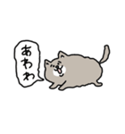 猫のムーちゃんです（個別スタンプ：31）