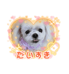 りんちゃんの生活Part.4（個別スタンプ：3）