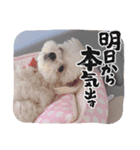りんちゃんの生活Part.4（個別スタンプ：8）