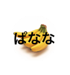 ぱなな教1（個別スタンプ：1）