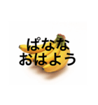 ぱなな教1（個別スタンプ：2）