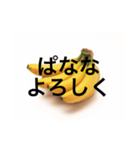 ぱなな教1（個別スタンプ：4）