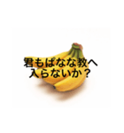 ぱなな教1（個別スタンプ：20）