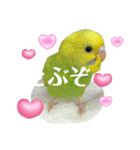 ぜんこのすたんぷ（個別スタンプ：4）