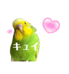 ぜんこのすたんぷ（個別スタンプ：5）