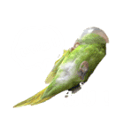 ぜんこのすたんぷ（個別スタンプ：7）