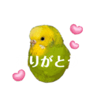 ぜんこのすたんぷ（個別スタンプ：8）
