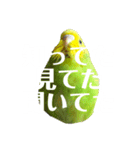 ぜんこのすたんぷ（個別スタンプ：9）