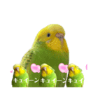 ぜんこのすたんぷ（個別スタンプ：13）