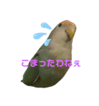 アラレちゃん 3（個別スタンプ：1）