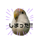 アラレちゃん 3（個別スタンプ：3）