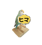 アラレちゃん 3（個別スタンプ：4）