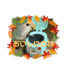 アラレちゃん 3（個別スタンプ：7）