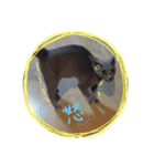 ネココ  aoスタンプ（個別スタンプ：21）