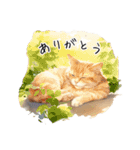 @home friends CATLOVER（個別スタンプ：2）