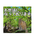 イリオモテ山猫大好き。沖縄行きたい（個別スタンプ：8）