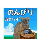 イリオモテ山猫大好き。沖縄行きたい（個別スタンプ：11）