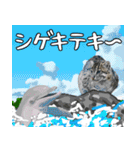 イリオモテ山猫大好き。沖縄行きたい（個別スタンプ：37）