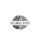 月山卵冷山順破池ムン壱（個別スタンプ：9）