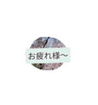 月山卵冷山順破池ムン壱（個別スタンプ：10）
