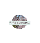 月山卵冷山順破池ムン壱（個別スタンプ：11）