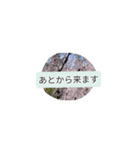 月山卵冷山順破池ムン壱（個別スタンプ：12）