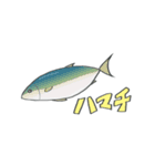 しろくまもちモッチー -Returns-（個別スタンプ：11）