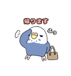 インコのぴーちゃんスタンプ。（個別スタンプ：38）