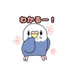 インコのぴーちゃんスタンプ。（個別スタンプ：39）