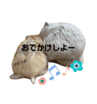 プリンシルバー（個別スタンプ：5）