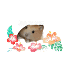 プリンシルバー（個別スタンプ：6）