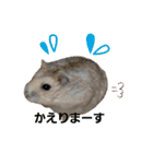 プリンシルバー（個別スタンプ：9）